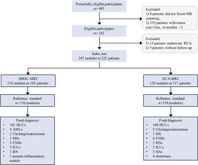 New Liver MR Imaging Hallmarks for Small Hepatocellular Carcinoma Screening and Diagnosing in High-Risk Patients